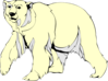 Furry Walking Polar Bear Clip Art